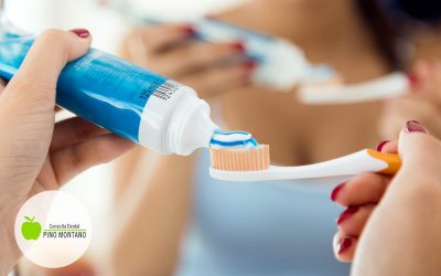 ¿Cómo guardar los cepillos de dientes en el baño?